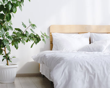 Let’s Talk About Egyptian Cotton